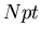 $Npt$