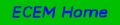 ECEM04 Home